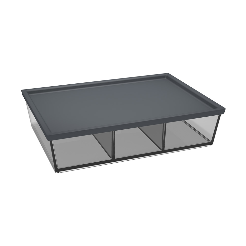 Edgy Egon with division  Edgy Egon with division