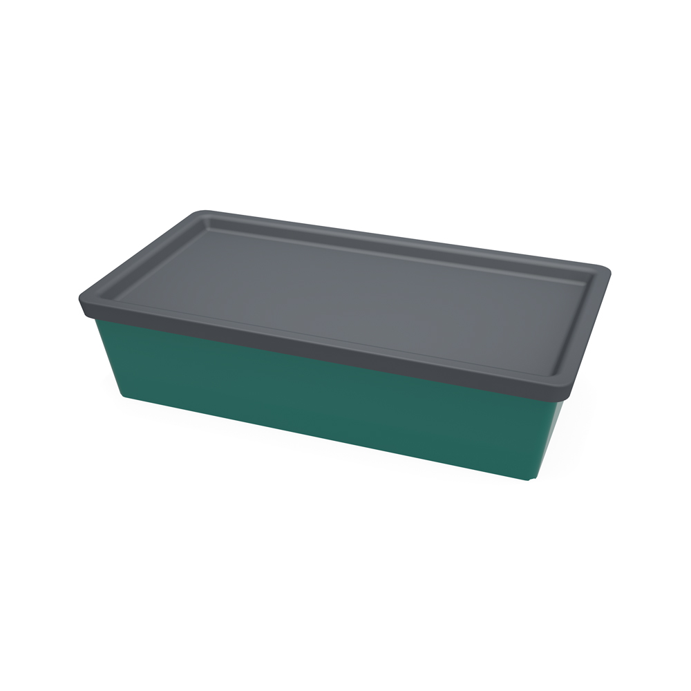 Tiny Thomas mit Steg