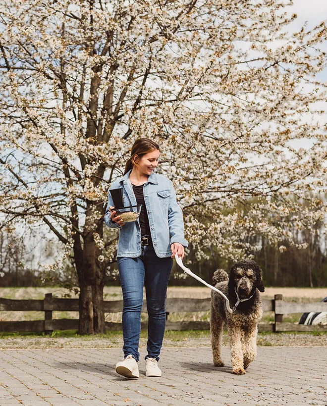 ORNAMIN-Was wir machen-Umwelt-660x820px