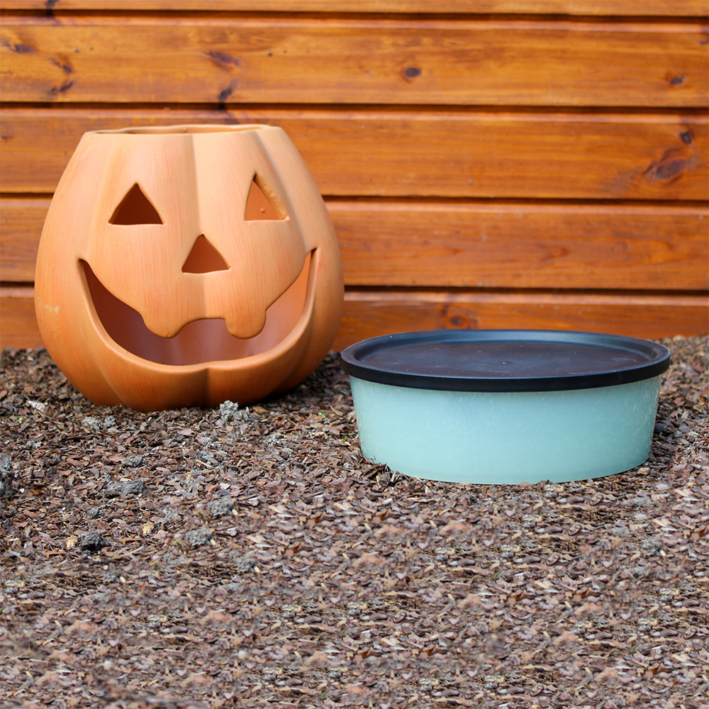 Big Bruno Halloween Edition Big Bruno Halloween Edition
