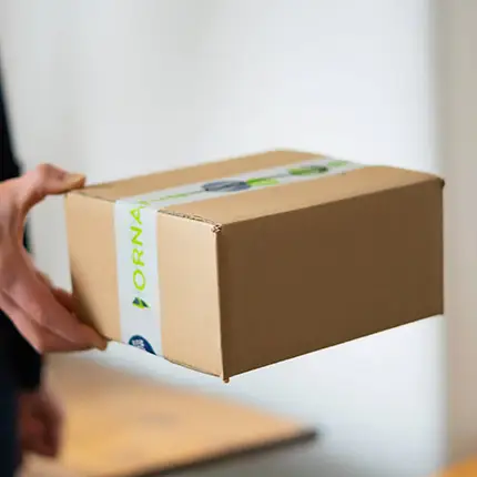 ORNAMIN Paket wird zugestellt
