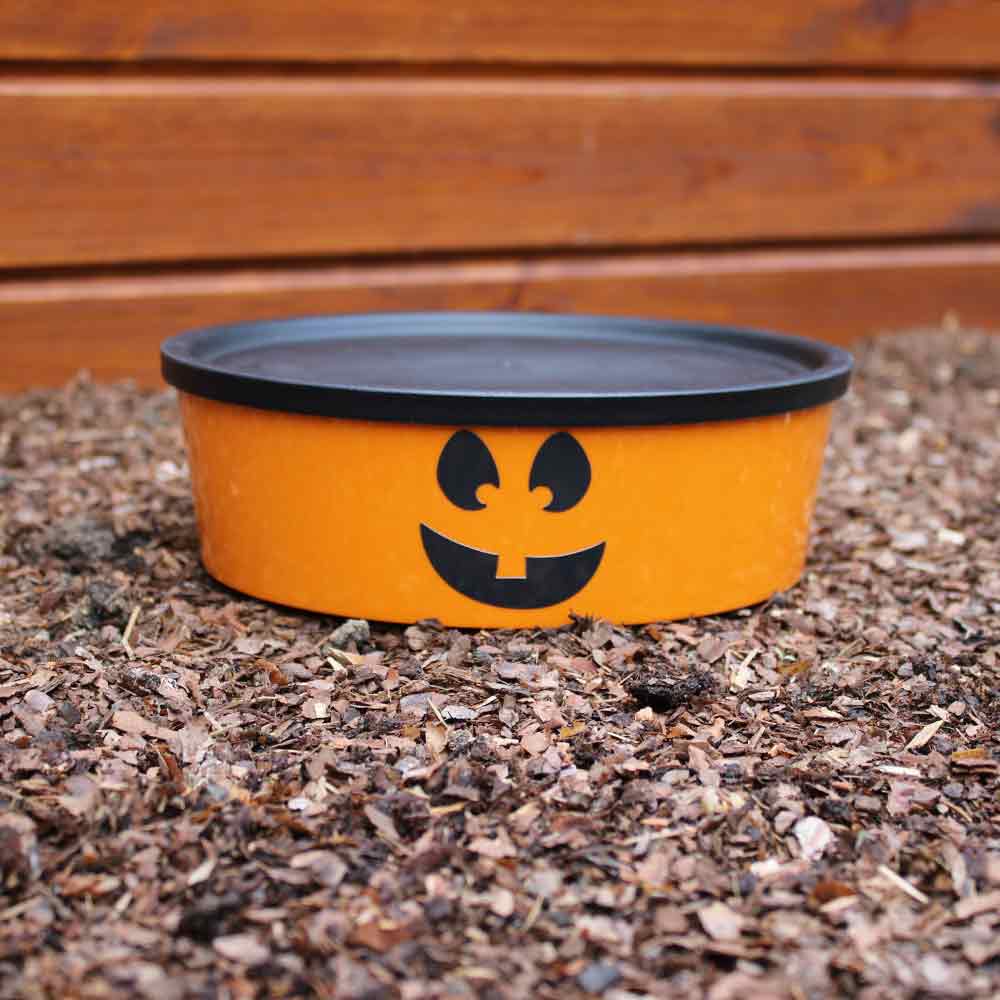 Big Bruno Halloween Edition Big Bruno Halloween Edition
