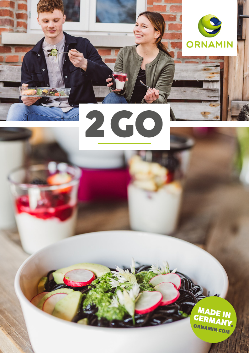 Cover vom ORNAMIN 2GO Katalog